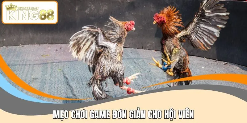 Mẹo chơi game đơn giản cho hội viên