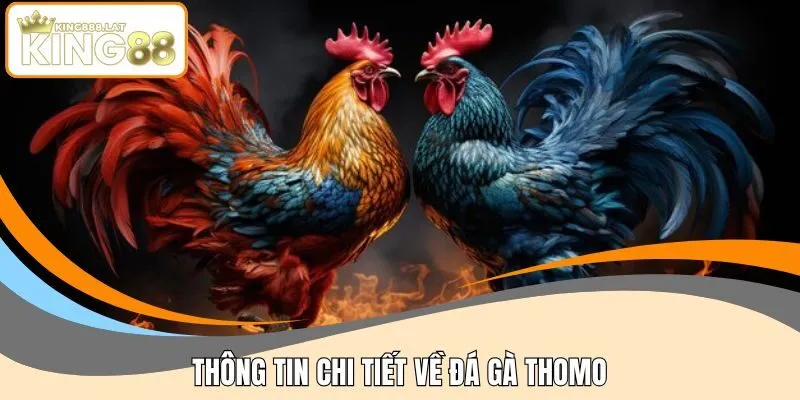 Thông tin chi tiết về đá gà Thomo